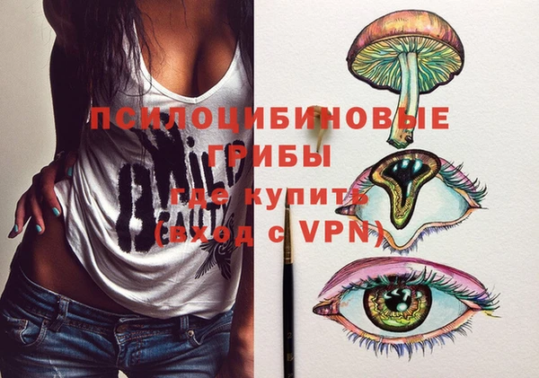 тгк Михайловск
